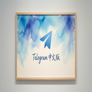 纸飞机中文版网页版使用方法与注意事项 - Telegram 官网